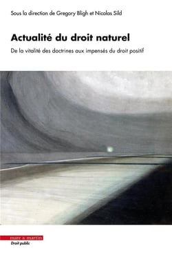 Actualité du droit naturel : De la vitalité des doctrines aux impensés du droit positif