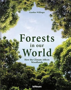 Forests in our world