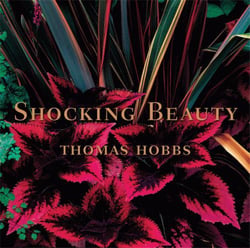 Shocking beauty (hardback)