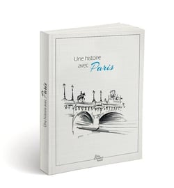 Une histoire avec paris - pont neuf