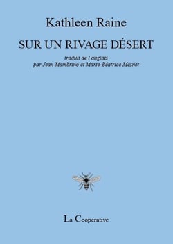Sur un rivage desert