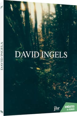 David Ingels