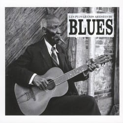 Les plus grands artistes du blues - 100 titres éternels