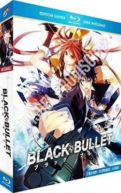 Coffret intégrale black bullet