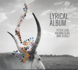Lyrical album