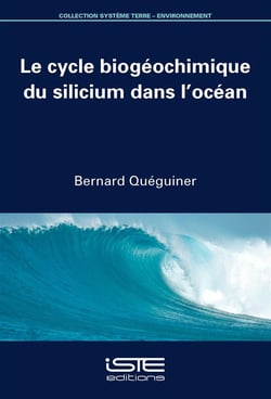 Le cycle biogéochimique du silicium dans l'océan