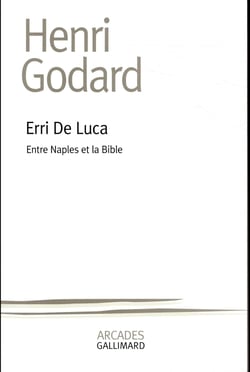 Erri de Luca
