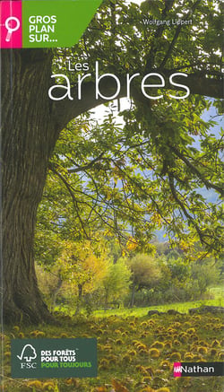 Gros plan sur : les arbres