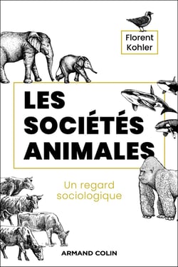 Les sociétés animales : Un regard sociologique