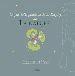 Les plus belles pensées de saint-exupéry sur la nature