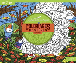 Coloriages mystères aux numéros