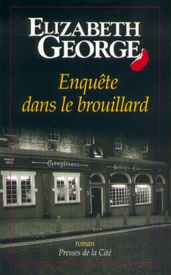 Enquête dans le brouillard