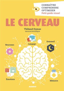 Le cerveau