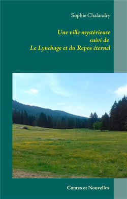 Une ville mystérieuse - le lynchage - repos éternel