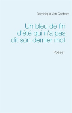 Un bleu de fin d'été qui n'a pas dit son dernier mot : poésie