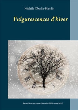 Fulgurescences d'hiver : recueil de textes courts (décembre 2020 - mars 2021)