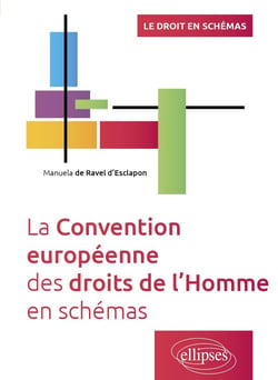 La convention européenne des droits de l'homme en schémas : A jour au 30 avril 2024