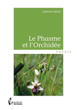 Le Phasme et l'Orchidée