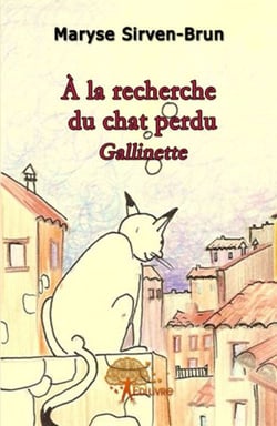 À la recherche du chat perdu gallinette