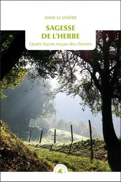 Sagesse de l'herbe - quatre leçons reçues des chemins