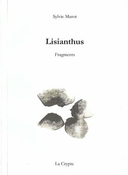 Lisianthus - fragments