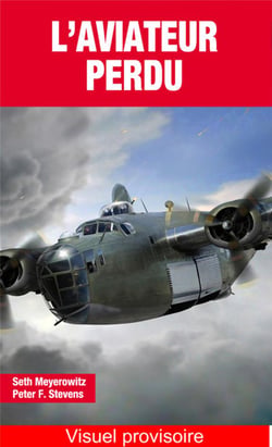 L'AVIATEUR PERDU