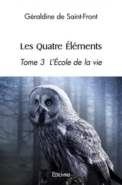 Les Quatre Éléments - Tome 3