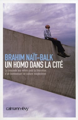 Un homo dans la cité : La descente aux enfers puis la libération d'un homosexuel de culture maghrébine