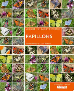 Papillons