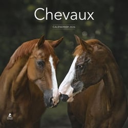 Chevaux (édition 2026)
