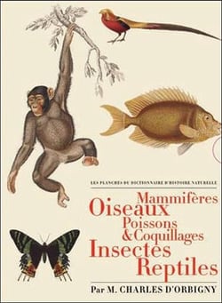 Les planches du dictionnaire d'histoire naturelle