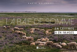 La baie de Somme - en lettres et en images