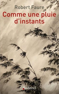 Comme une pluie d'instants