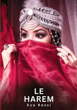 Le Harem : Histoires Érotiques Interdites de Sexe Tabou pour Adultes