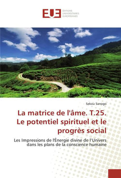 La matrice de l'âme t.25 - le potentiel spirituel et le progrès social - les impressions de l'énergie divine de l'univers dans les plans de la conscience humaine