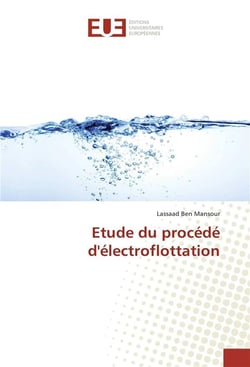 Etude du procede d'electroflottation