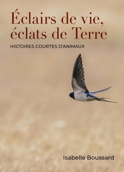 Éclairs de vie, éclats de Terre