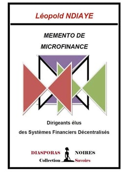 Mémento de finance : dirigeants élus des systèmes financiers décentralisés