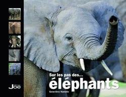 SUR LES PAS DES ELEPHANTS.