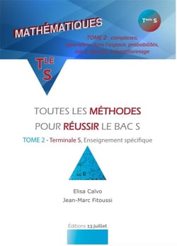 Mathématiques - terminale S, enseignement spécifique - toutes les méthodes pour réussir le bac S Tome 2