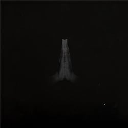 Untitled (Rise)