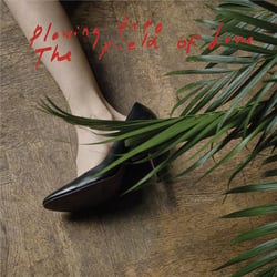 Plowing into the fields of love