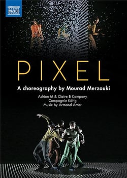 Pixel