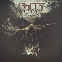 Spirit in Flames