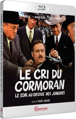 Le Cri du cormoran le soir au-dessus des jonques
