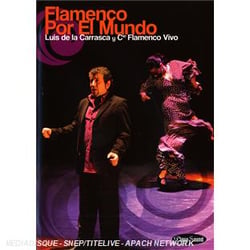 Flamenco por el mundo