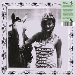 Bamboo Night - édition;limitée