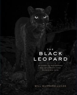 The black leopard