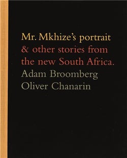Mr mkhize's portrait and other stories from the new south africa