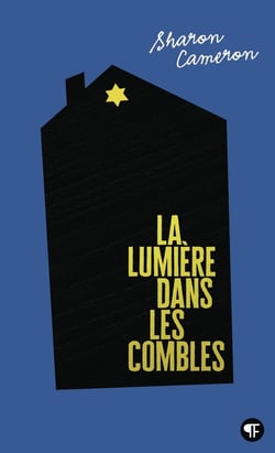 La lumière dans les combles